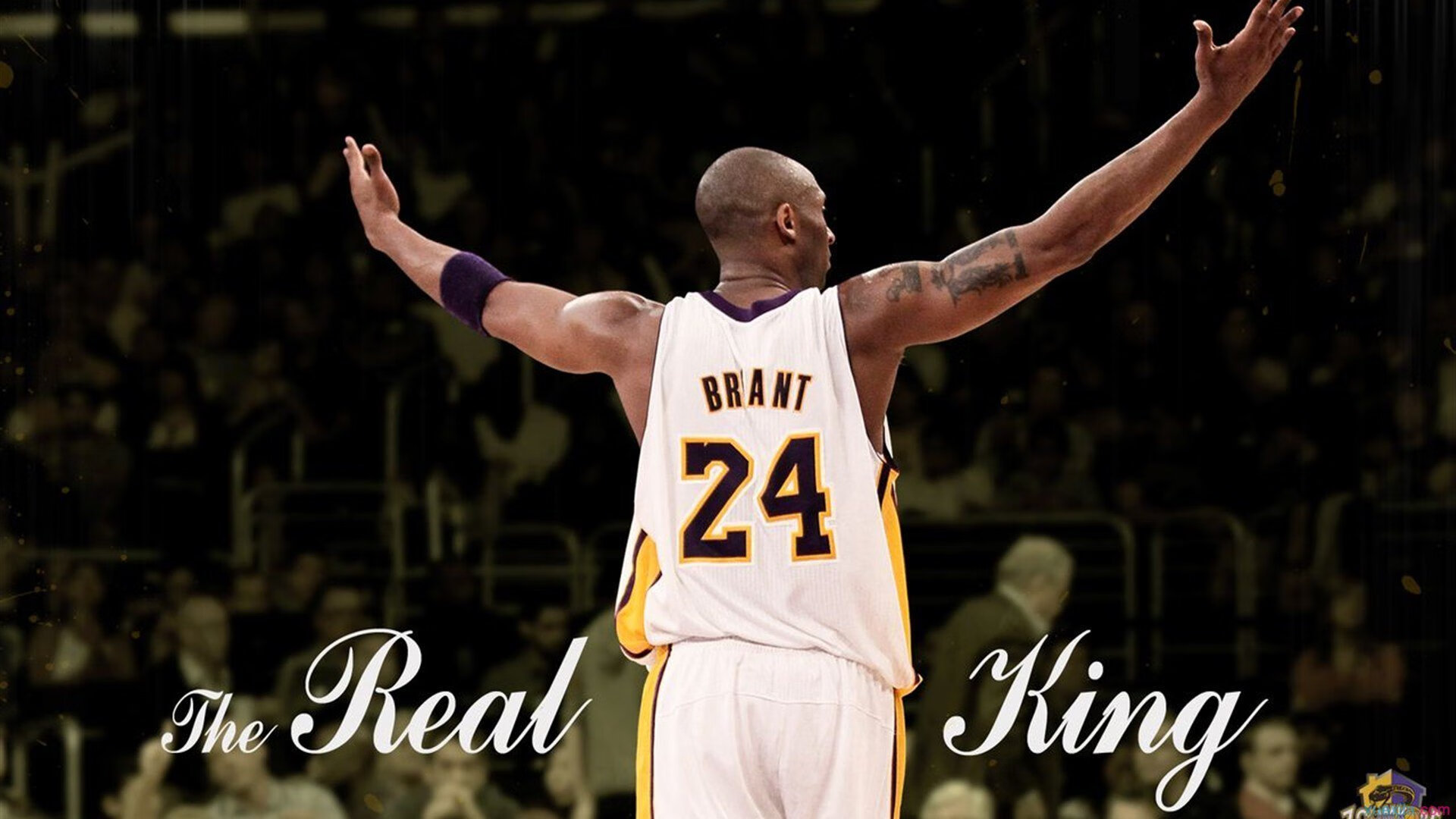 _网络大奖赛：在线互动，跨越屏幕的激战_，网络竞技大赛